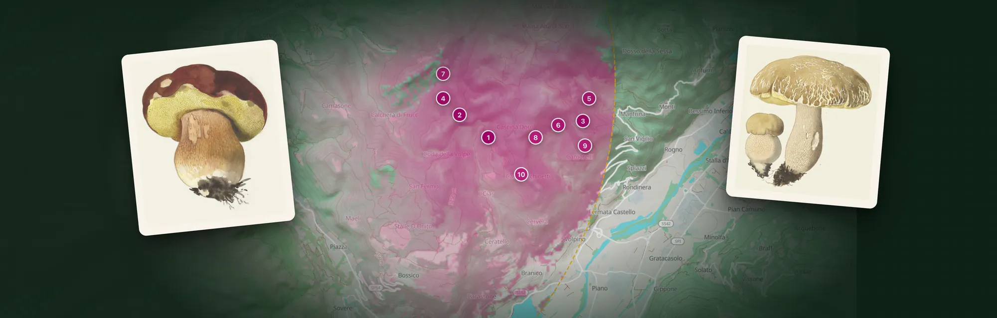Map of a valley coloured raspberry where the woods suit, with the ten best spots numbered